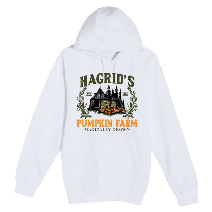 Retro Fall HagridS Pumpkin Farm Patch Autumn Pumpkin Garden Premium Pullover Hoodie