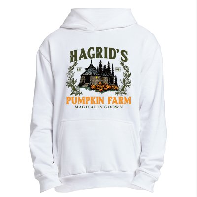 Retro Fall HagridS Pumpkin Farm Patch Autumn Pumpkin Garden Urban Pullover Hoodie