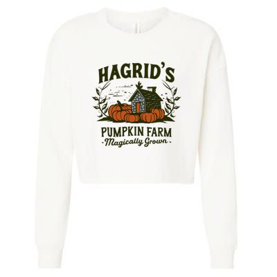 Retro Fall HagridS Pumpkin Farm Patch Autumn Pumpkin Garden Cropped Pullover Crew