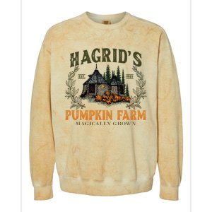 Retro Fall HagridS Pumpkin Farm Patch Autumn Pumpkin Garden Colorblast Crewneck Sweatshirt