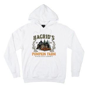 Retro Fall HagridS Pumpkin Farm Patch Autumn Pumpkin Garden Hoodie