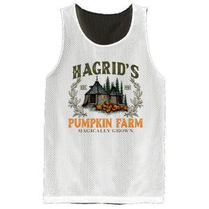 Retro Fall HagridS Pumpkin Farm Patch Autumn Pumpkin Garden Mesh Reversible Basketball Jersey Tank