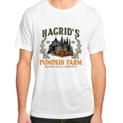 Retro Fall HagridS Pumpkin Farm Patch Autumn Pumpkin Garden Adult ChromaSoft Performance T-Shirt