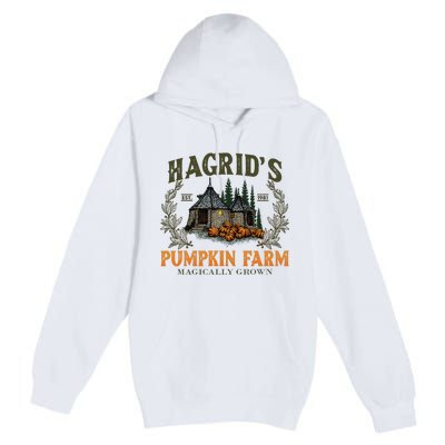 Retro Fall HagridS Pumpkin Farm Patch Autumn Pumpkin Garden Premium Pullover Hoodie