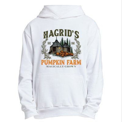 Retro Fall HagridS Pumpkin Farm Patch Autumn Pumpkin Garden Urban Pullover Hoodie