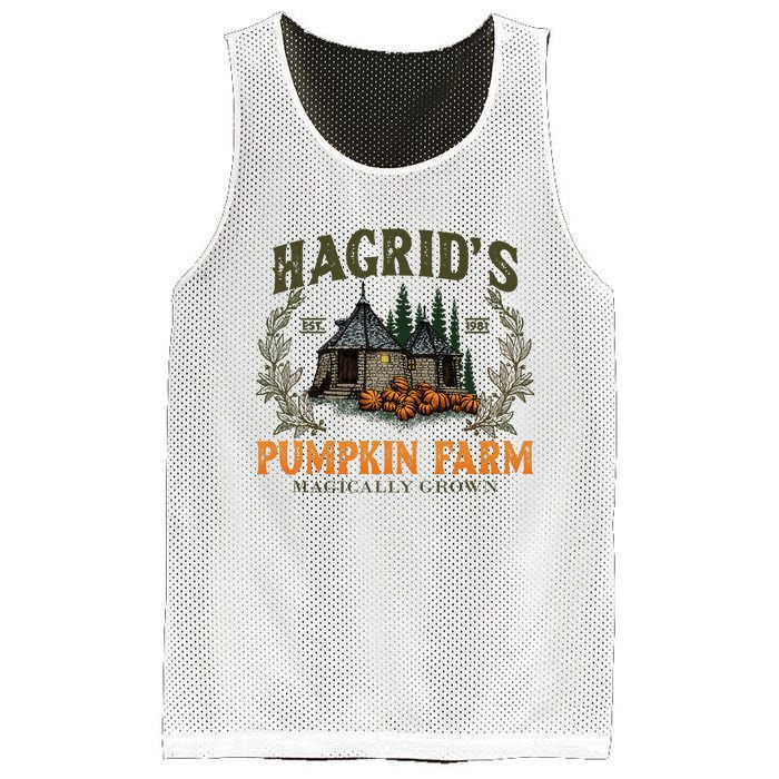 Retro Fall HagridS Pumpkin Farm Patch Autumn Pumpkin Garden Mesh Reversible Basketball Jersey Tank