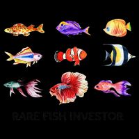 Rare Fish Investor Funny Fishing Season Youth Performance Sprint T-Shirt