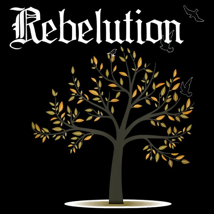 Rebelution Falling Into Place Cropped Pullover Crew