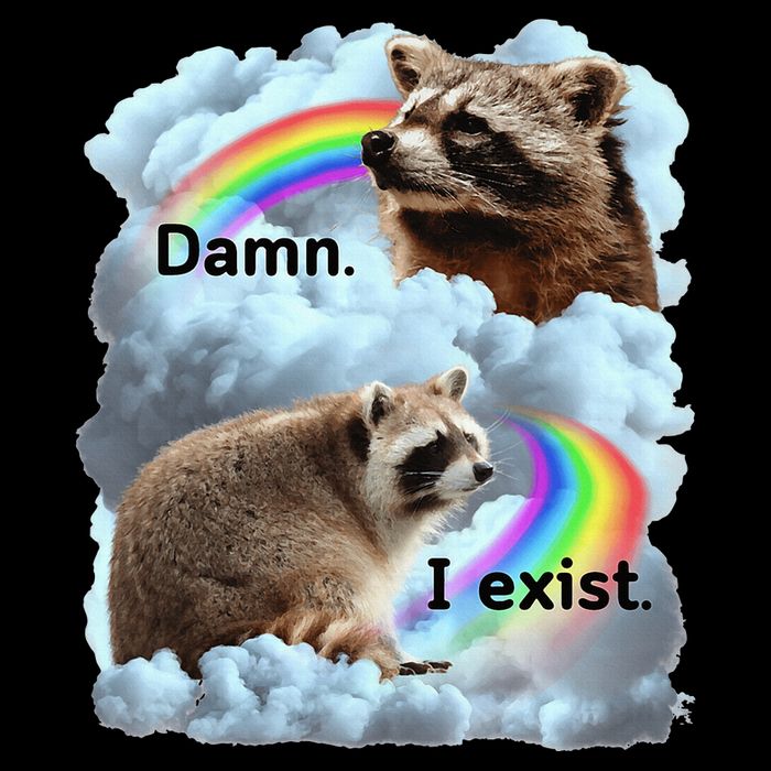 Raccoon Funny I Exist Depression Meme Dark Mental Health Button
