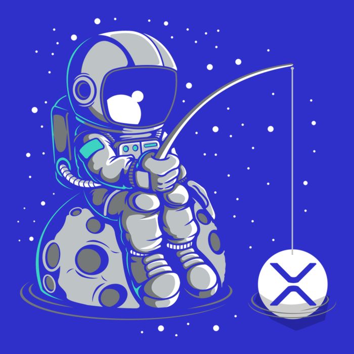 Ripple Fishing Krypto Bullrun Xrp Token Rich Millionaire Gift Poster