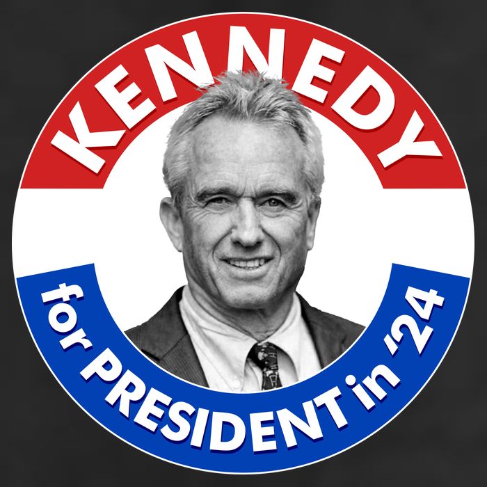Robert F Kennedy Jr For President In 2024 Emblem Button Beanie