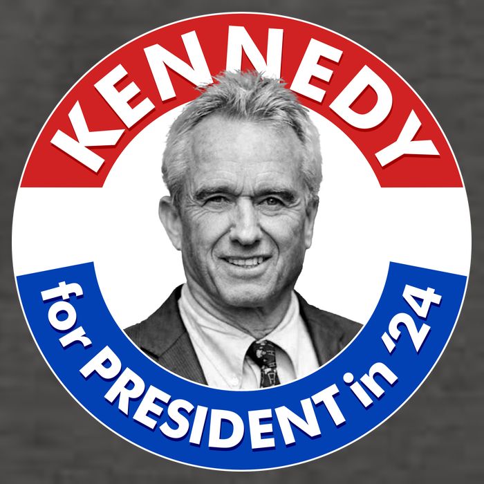 Robert F Kennedy Jr For President In 2024 Emblem Button Vector Backpack