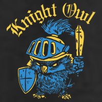 Renaissance Festival Knight Owl Ren Faire 7 Panel Mesh Trucker Snapback Hat