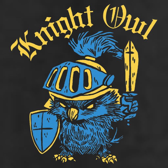 Renaissance Festival Knight Owl Ren Faire 7 Panel Mesh Trucker Snapback Hat
