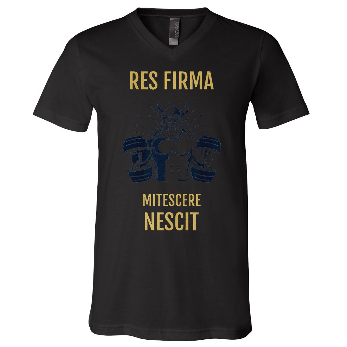 Res Firma Mitescere Nescit Premium V-Neck T-Shirt