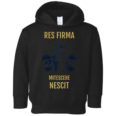 Res Firma Mitescere Nescit Premium Toddler Hoodie
