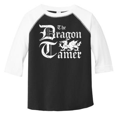 Renaissance Festival Medieval Dragon Tamer Ren Faire Toddler Fine Jersey T-Shirt