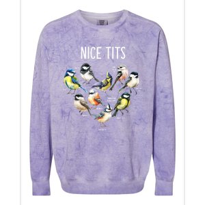 Retro Funny Nice Tits Birds Birdwatcher Bird Watching Humor Gift Colorblast Crewneck Sweatshirt