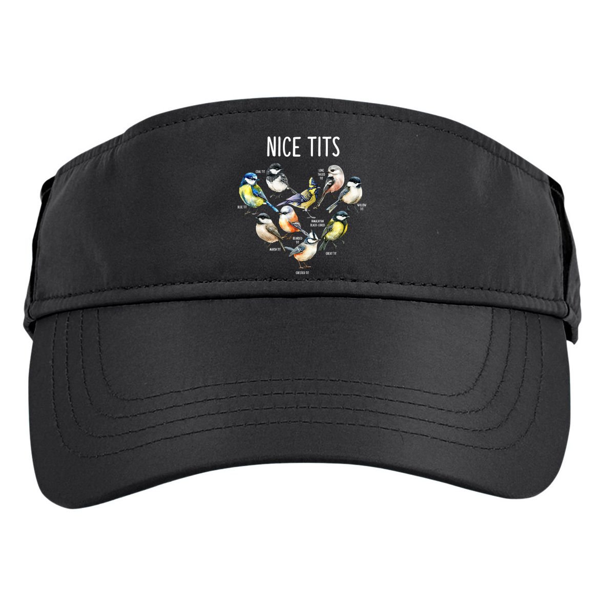 Retro Funny Nice Tits Birds Birdwatcher Bird Watching Humor Gift Adult Drive Performance Visor
