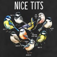 Retro Funny Nice Tits Birds Birdwatcher Bird Watching Humor Gift Adult Drive Performance Visor