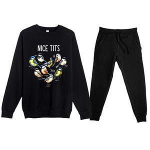 Retro Funny Nice Tits Birds Birdwatcher Bird Watching Humor Gift Premium Crewneck Sweatsuit Set