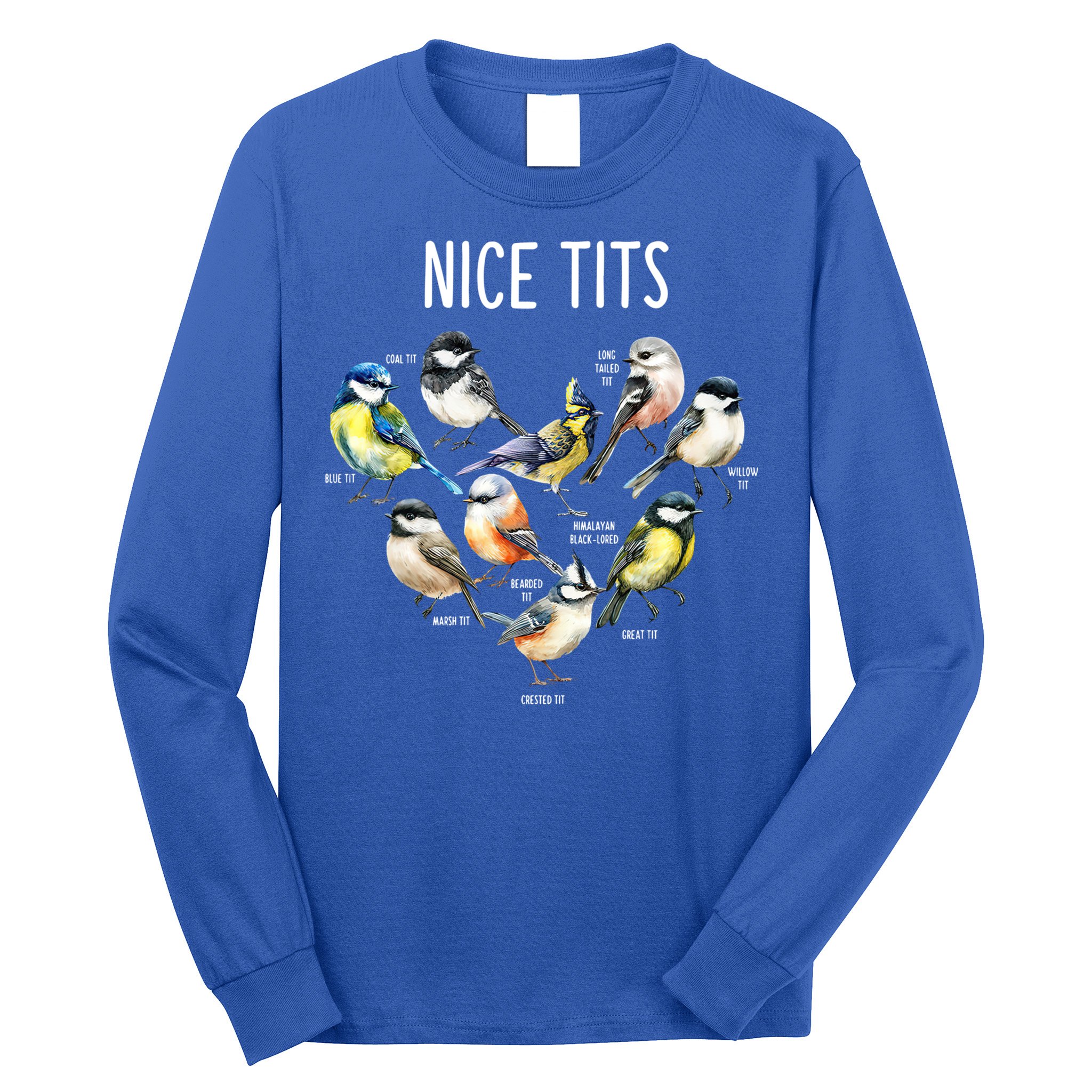 Retro Funny Nice Tits Birds Birdwatcher Bird Watching Humor Gift Long Sleeve Shirt