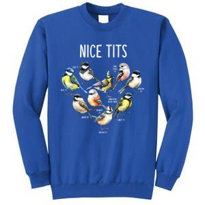 Retro Funny Nice Tits Birds Birdwatcher Bird Watching Humor Gift Sweatshirt