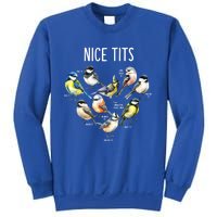 Retro Funny Nice Tits Birds Birdwatcher Bird Watching Humor Gift Sweatshirt