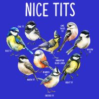 Retro Funny Nice Tits Birds Birdwatcher Bird Watching Humor Gift Button