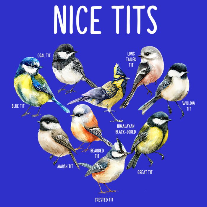 Retro Funny Nice Tits Birds Birdwatcher Bird Watching Humor Gift Button