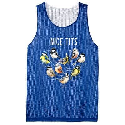 Retro Funny Nice Tits Birds Birdwatcher Bird Watching Humor Gift Mesh Reversible Basketball Jersey Tank