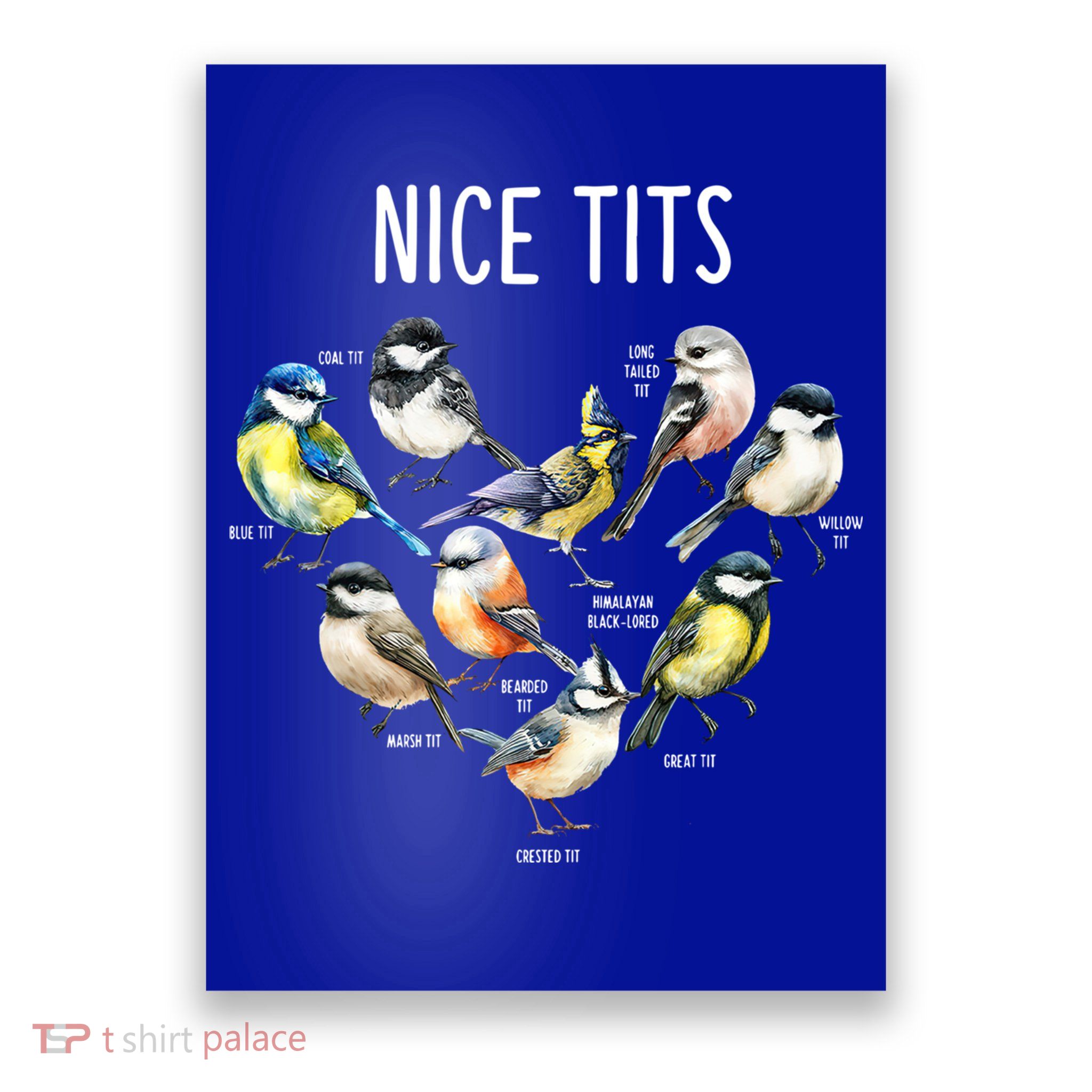 Retro Funny Nice Tits Birds Birdwatcher Bird Watching Humor Gift Poster