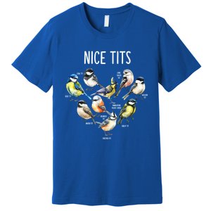 Retro Funny Nice Tits Birds Birdwatcher Bird Watching Humor Gift Premium T-Shirt