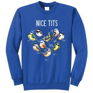 Retro Funny Nice Tits Birds Birdwatcher Bird Watching Humor Gift Tall Sweatshirt