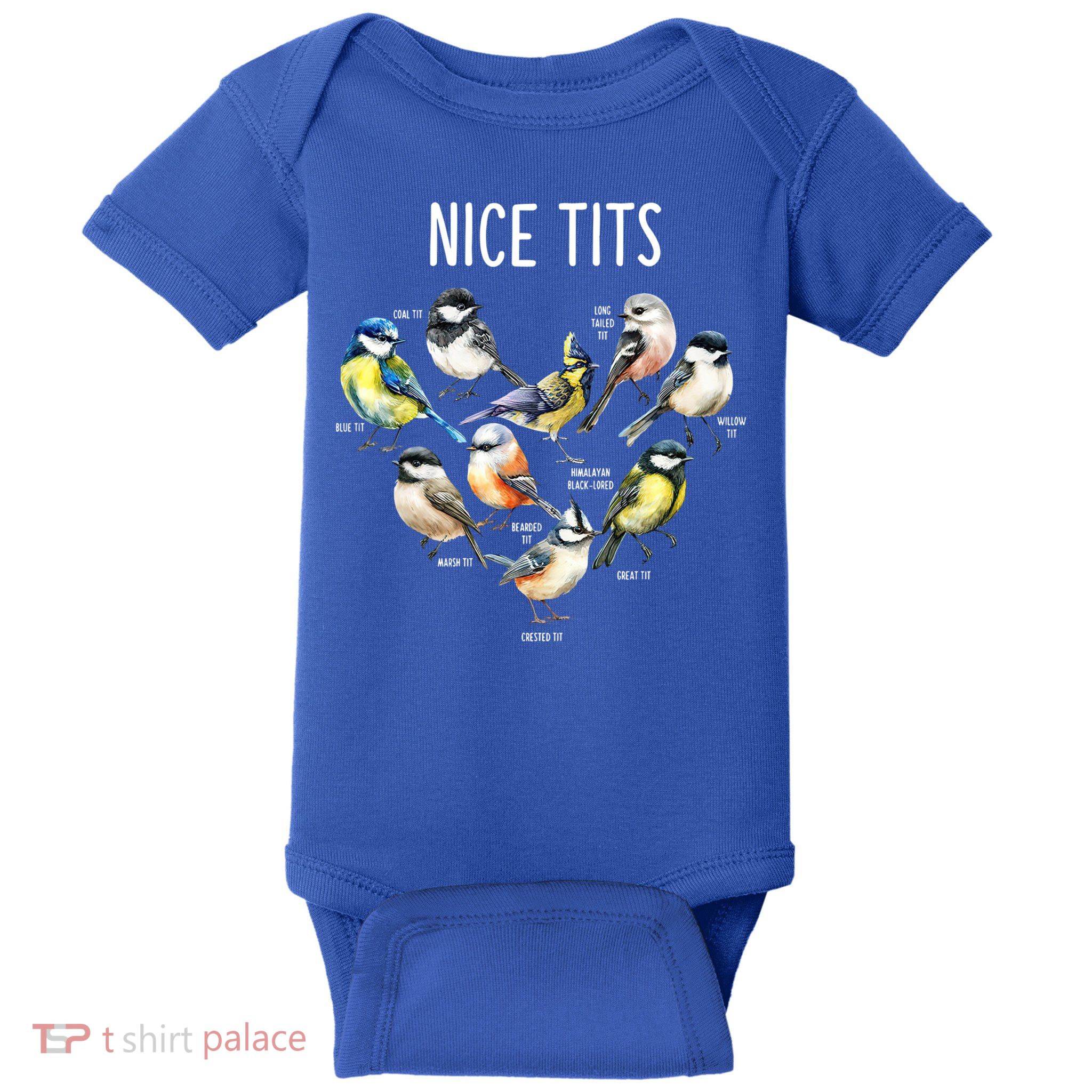 Retro Funny Nice Tits Birds Birdwatcher Bird Watching Humor Gift Baby Bodysuit