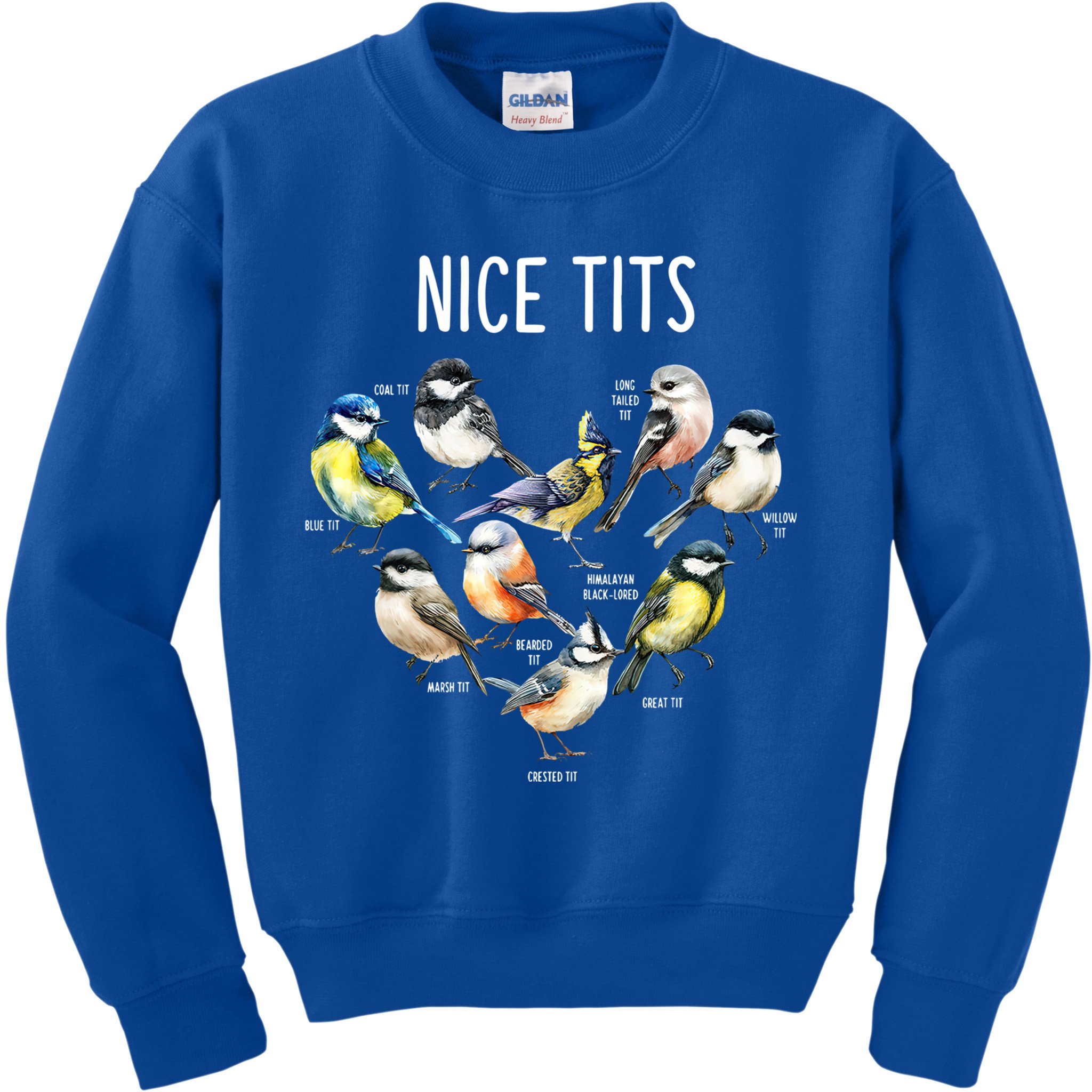 Retro Funny Nice Tits Birds Birdwatcher Bird Watching Humor Gift Kids Sweatshirt