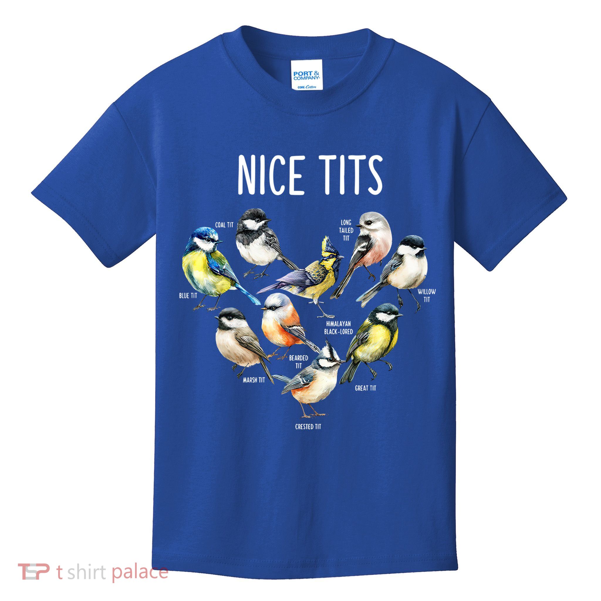 Retro Funny Nice Tits Birds Birdwatcher Bird Watching Humor Gift Kids T-Shirt
