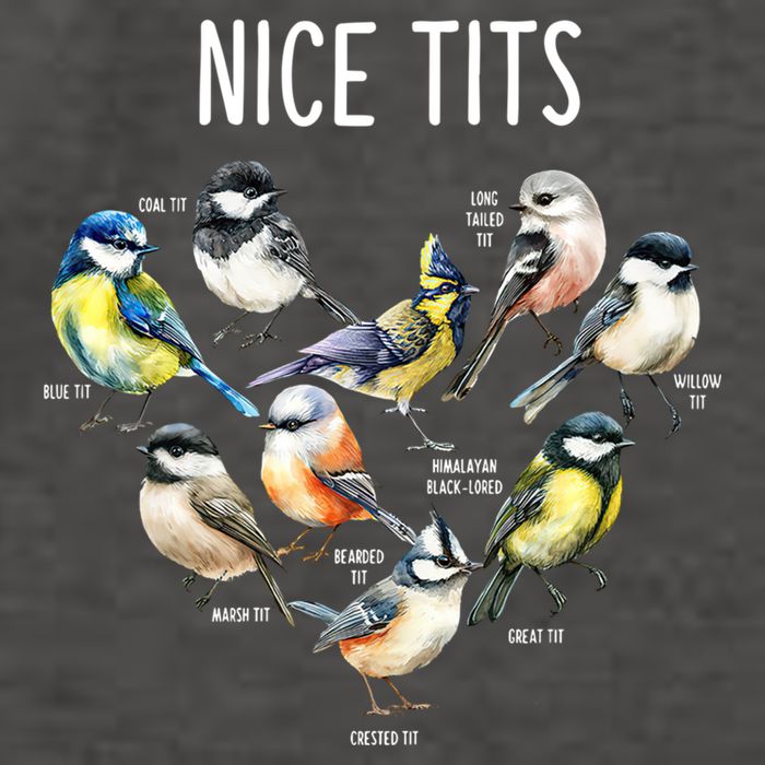 Retro Funny Nice Tits Birds Birdwatcher Bird Watching Humor Gift Vector Backpack