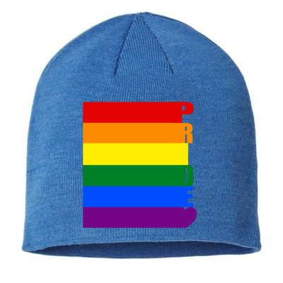 Rainbow Flag Pride Gift Sustainable Beanie