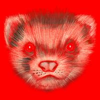 Realistic Ferret Baby Bodysuit