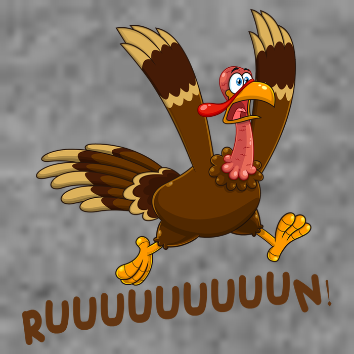 Run Funny Thanksgiving Turkey 7-Panel Snapback Hat