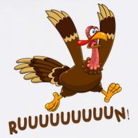 Run Funny Thanksgiving Turkey Apron