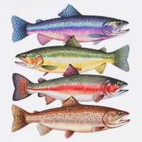 River Fish Trout Salmon Colorful Trout In A Row Full-Length Apron With Pockets