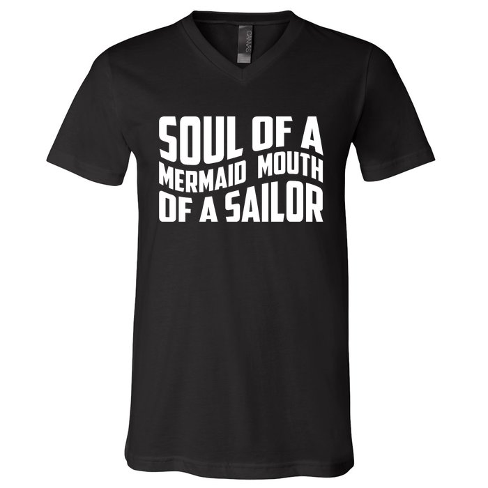 Retro Funny T , Soul Of A Me V-Neck T-Shirt