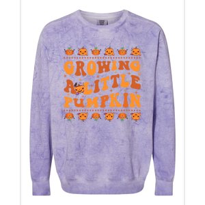 Retro Growing A Little Pumpkin Cute New Mom Fall Pregnancy Gift Colorblast Crewneck Sweatshirt