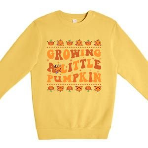 Retro Growing A Little Pumpkin Cute New Mom Fall Pregnancy Gift Premium Crewneck Sweatshirt