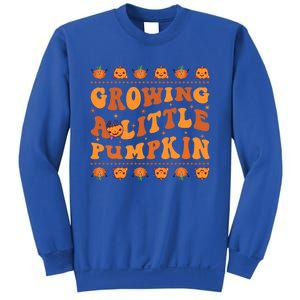 Retro Growing A Little Pumpkin Cute New Mom Fall Pregnancy Gift Sweatshirt