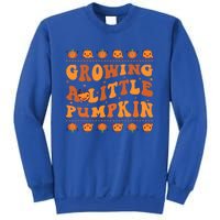 Retro Growing A Little Pumpkin Cute New Mom Fall Pregnancy Gift Sweatshirt