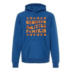 Retro Growing A Little Pumpkin Cute New Mom Fall Pregnancy Gift Premium Hoodie