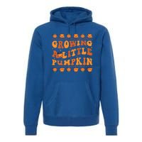 Retro Growing A Little Pumpkin Cute New Mom Fall Pregnancy Gift Premium Hoodie